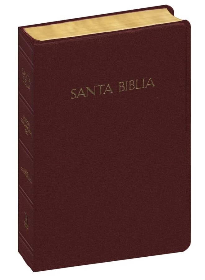 RVR 1960 Biblia Vino Letra Gigante con Referencias