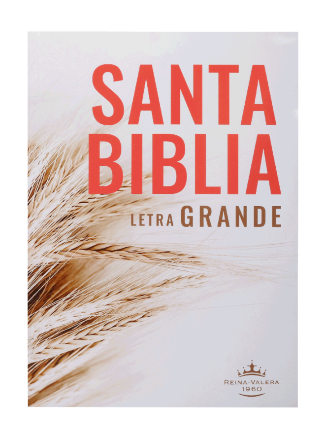 BIBLIA RUSTICA LETRA GIGANTE RVR080LG