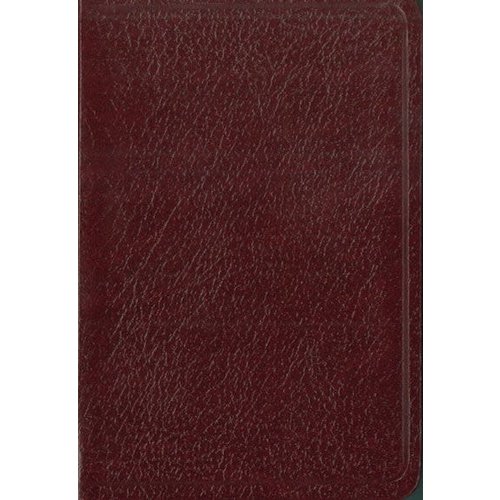 EDITORIAL VIDA Santa Biblia de bolsillo NVI Vino EDITORIAL VIDA Santa Biblia de bolsillo NVI Vino