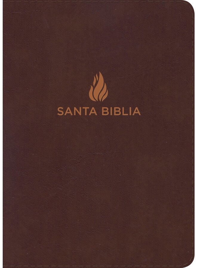 Biblia Reina Valera 1960 Tamaño manual. Vino. Letra grande, piel fabricada,