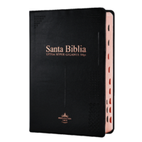 SANTA BIBLIA RVR60  14 PTS NEGRO
