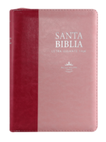 SOCIEDAD BIBLICA SANTA BIBLIA RVR60 LETRA SUPERGIGANTE CIERRE ROSA ROSA