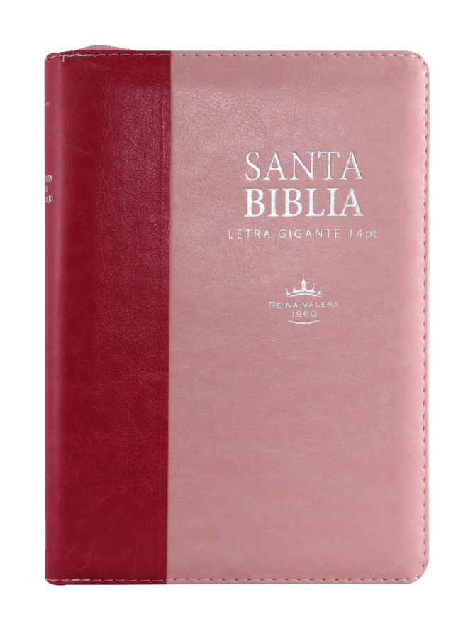SANTA BIBLIA RVR60 LETRA SUPERGIGANTE CIERRE ROSA ROSA