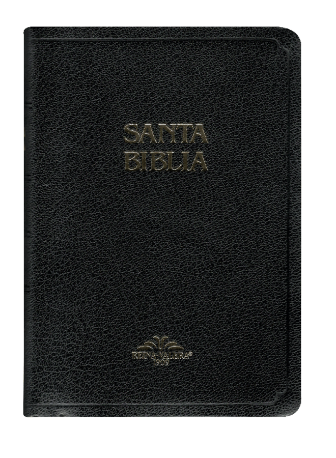 SANTA BIBLIA RVR09 MEDIANA  NEGRA