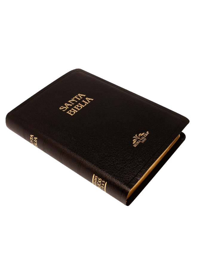 SANTA BIBLIA RVR09 MEDIANA  NEGRA