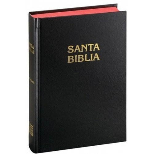 SOCIEDAD BIBLICA SANTA BIBLIA RVR60 TD MISIONERA