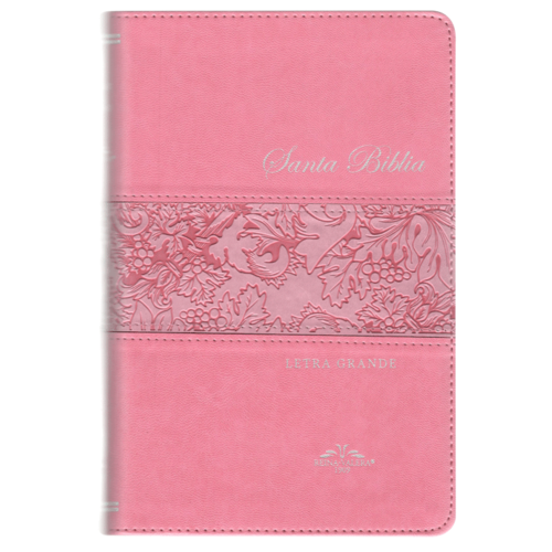 SOCIEDAD BIBLICA SANTA BIBLIA RVR09 LETRA GRANDE ROSA SOCIEDAD BIBLICA SANTA BIBLIA RVR09 LETRA GRANDE ROSA