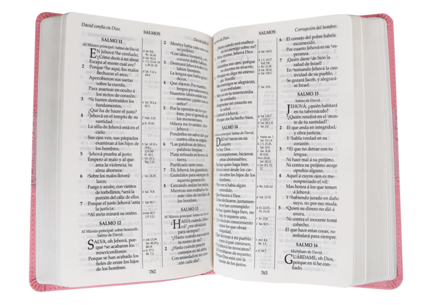 SOCIEDAD BIBLICA SANTA BIBLIA RVR09 LETRA GRANDE ROSA
