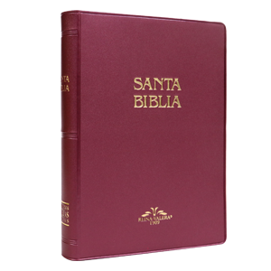 SOCIEDAD BIBLICA SANTA BIBLIA RVR09 VINIL VINO
