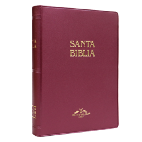 SOCIEDAD BIBLICA SANTA BIBLIA RVR09 VINIL VINO SOCIEDAD BIBLICA SANTA BIBLIA RVR09 VINIL VINO