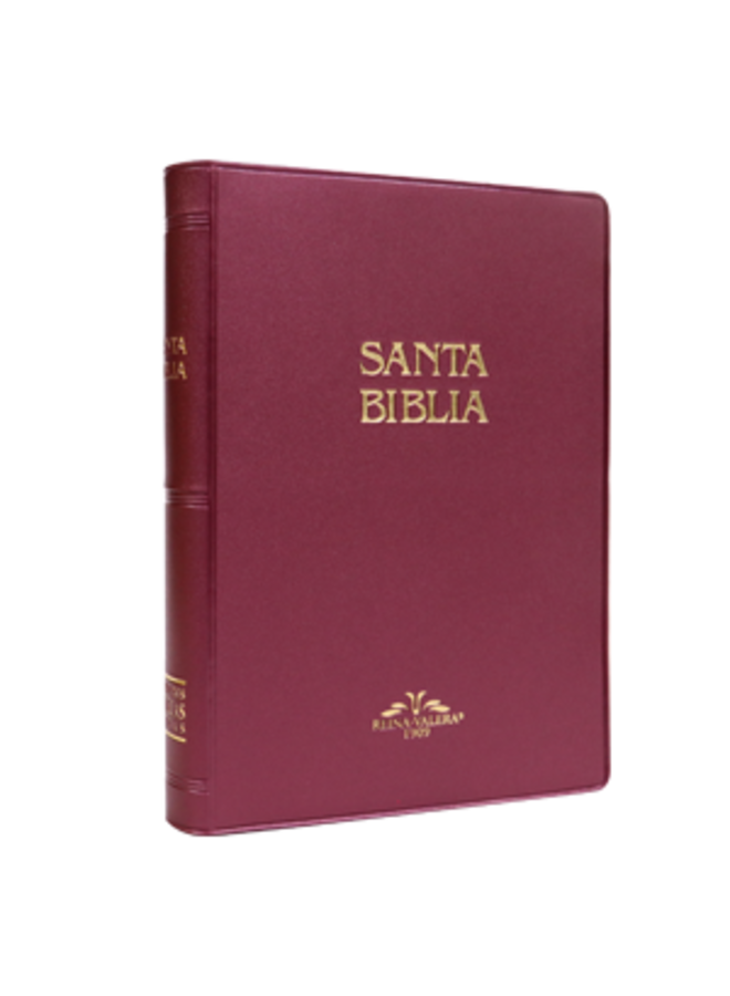 SANTA BIBLIA RVR09 VINIL VINO