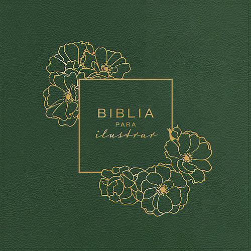 HOLMAN EN ESPANOL BIBLIA HOLMAN PARA ILUSTRAR RVR60 SP VERDE HOLMAN EN ESPANOL BIBLIA HOLMAN PARA ILUSTRAR RVR60 SP VERDE