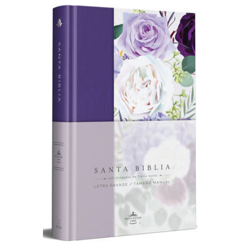 ORIGEN SANTA BIBLIA ORIGEN LETRA GRANDE TELA FLORES PURPURA ORIGEN SANTA BIBLIA ORIGEN LETRA GRANDE TELA FLORES PURPURA