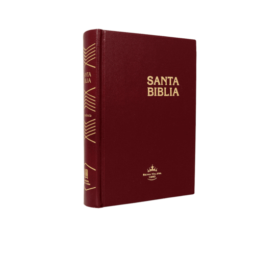 SOCIEDAD BIBLICA SANTA BIBLIA RVR60 TD MISIONERA VINO SOCIEDAD BIBLICA SANTA BIBLIA RVR60 TD MISIONERA VINO
