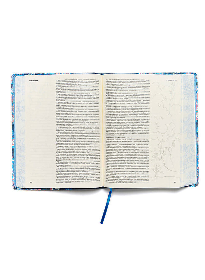 RVR 1960 Biblia de apuntes, edición ilustrada, tela en rosado y azul