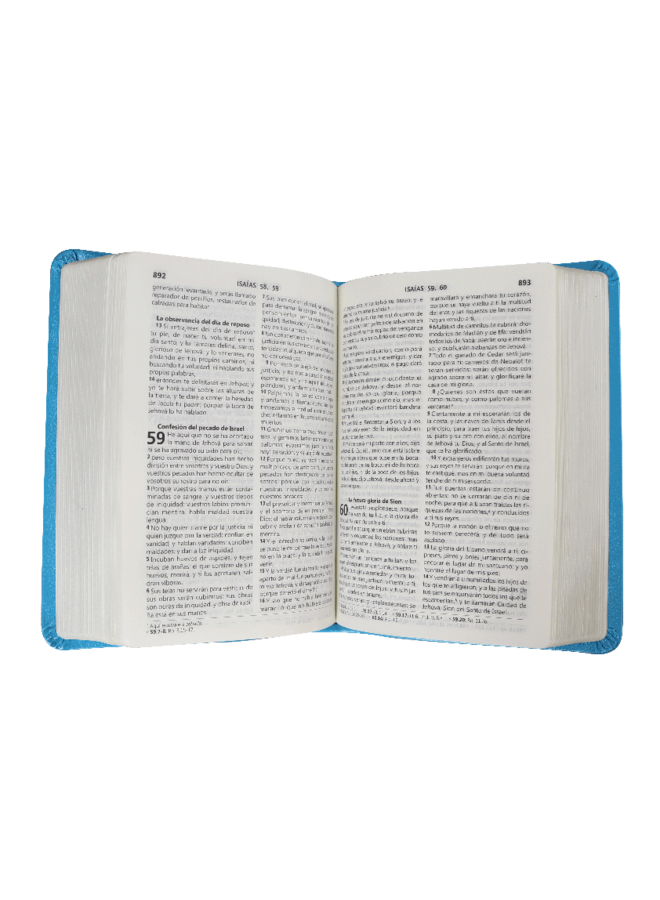 BIBLIA RVR60 LETRA GRANDE COMPACTA AZUL