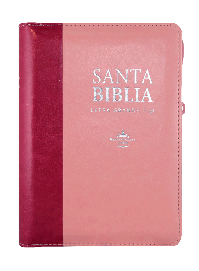 SANTA BIBLIA  LETRA SUPERGIGANTE INDICES CIERRE ROSA