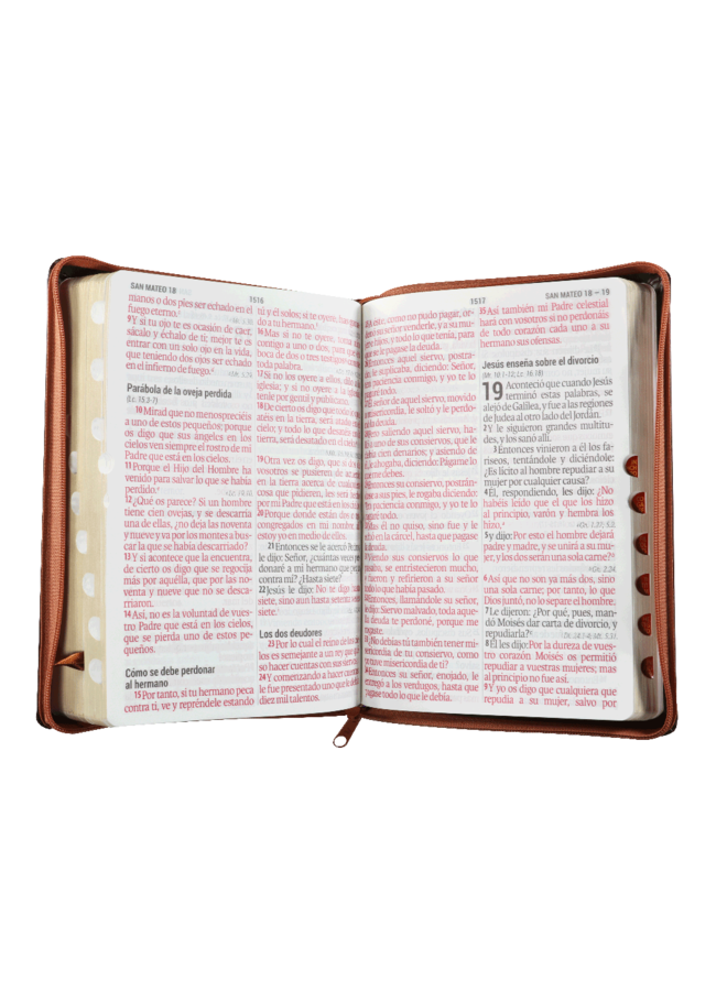 Biblia Reina Valera 1960 Grande Letra Supergigante Imitación Piel Negro Café Indicadores [RVR086cLSGiPJRZTI]