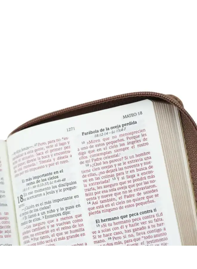 Biblia NVI Letra Grande, Tamaño Bolsillo – Zipper - Marron claro