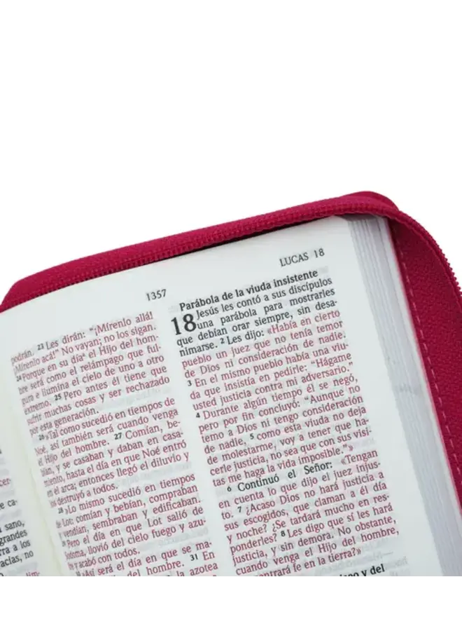 Biblia NVI Letra Grande, Tamaño Bolsillo – Zipper - Fucsia Tornasolado