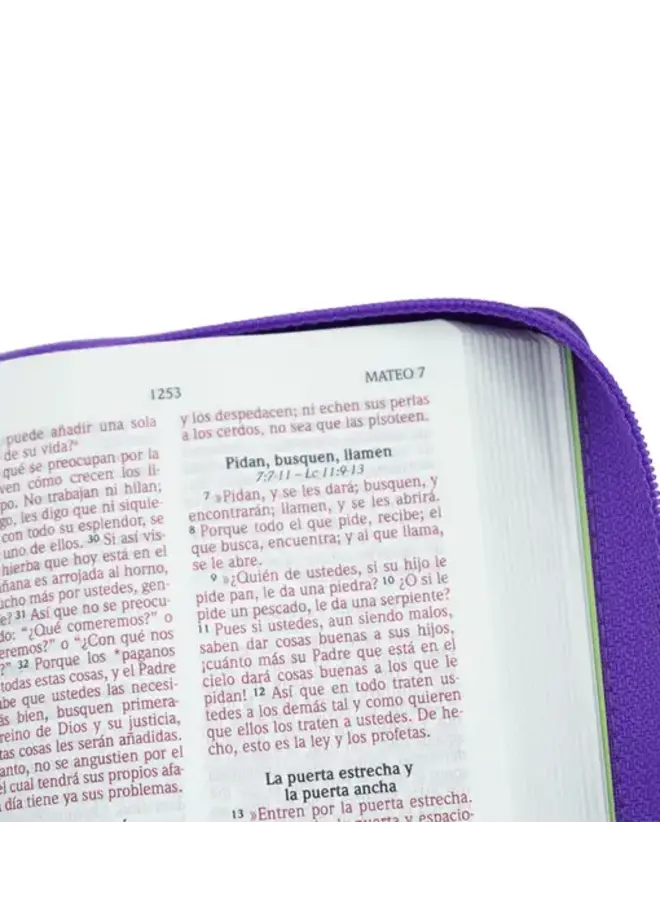 Biblia NVI Letra Grande, Tamaño Bolsillo – Zipper - Panal Violeta