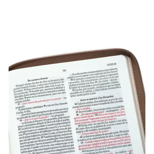 PENIEL Biblia Ultrafina Nvi - Marron - Con Zipper