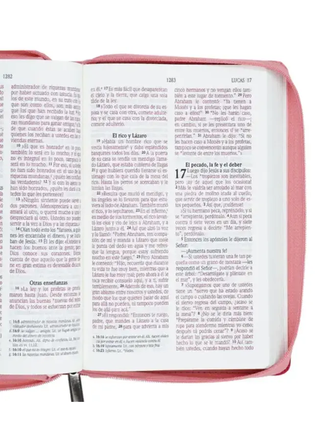 Biblia NVI - Letra Grande - Rosa/Fucsia - Con cierre