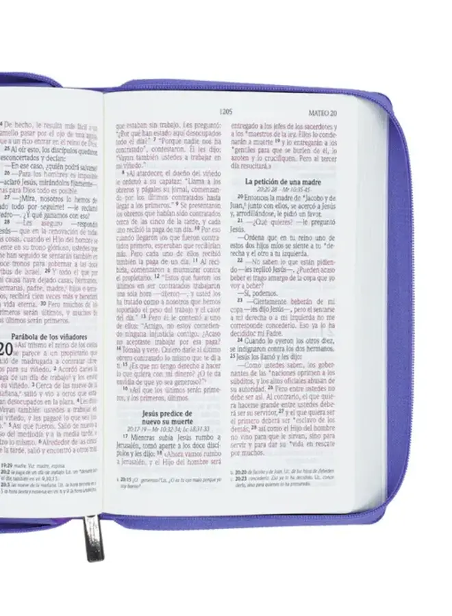 Biblia NVI - Letra Grande - Lila - Con cierre