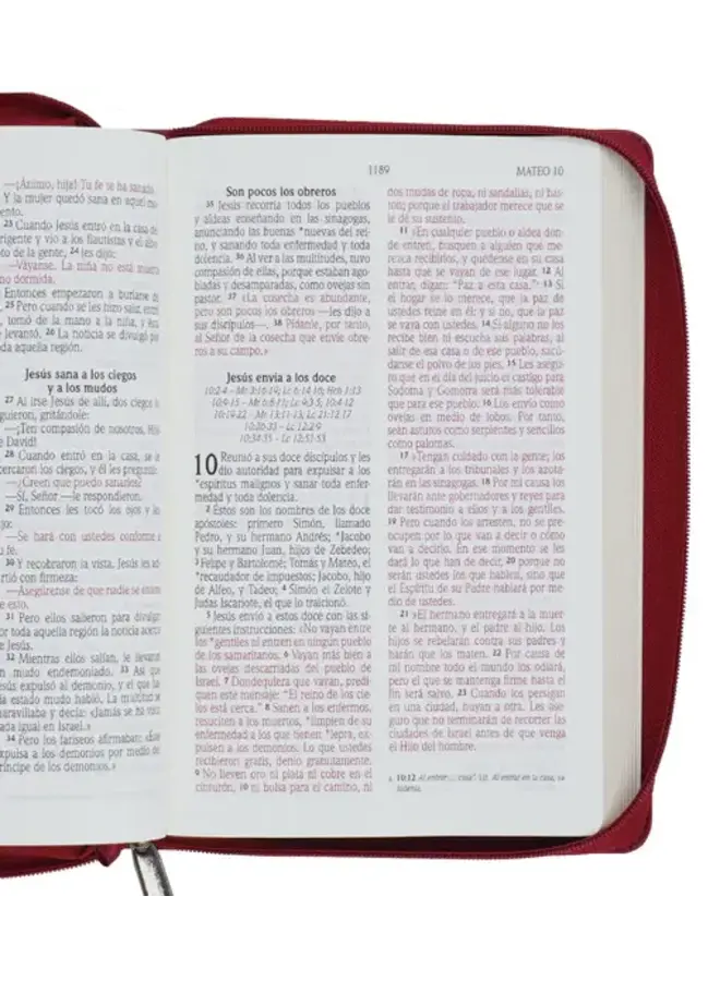 Biblia NVI - Letra Grande - Vino - Con cierre