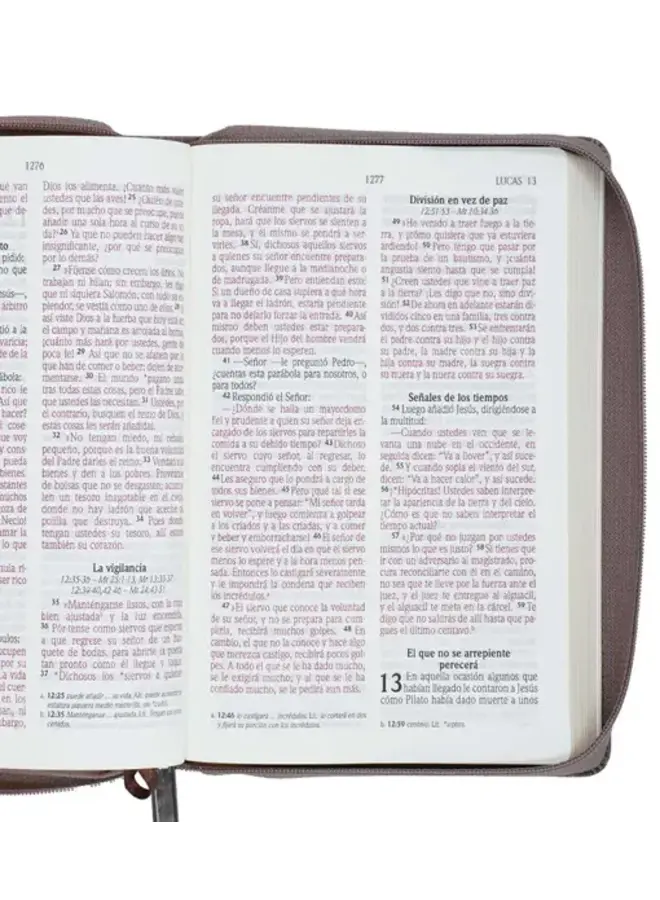 Biblia NVI - Letra Grande - Madera - Con cierre (Zipper)