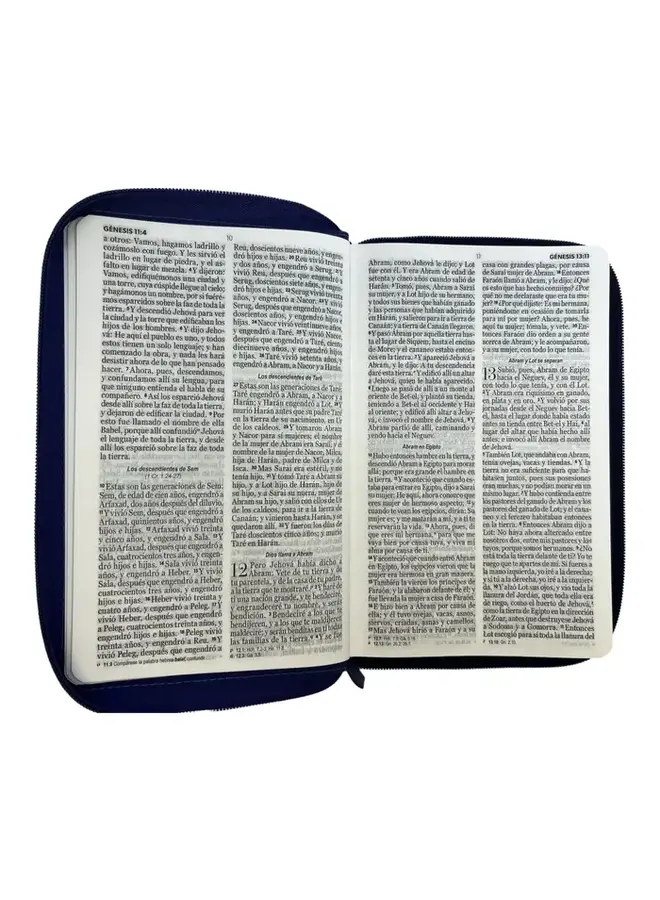 Biblia Reina Valera 1960 tamaño manual. Imitación Piel lila con cierre. Letra Grande 12 puntos. Versículos seguidos.