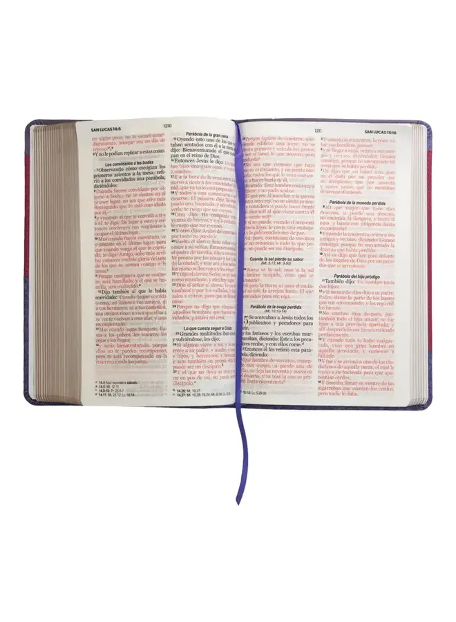 Biblia Reina Valera 1960 tamaño manual letra grande 12 puntos- Imitación Piel lila/morado.Colección bitono