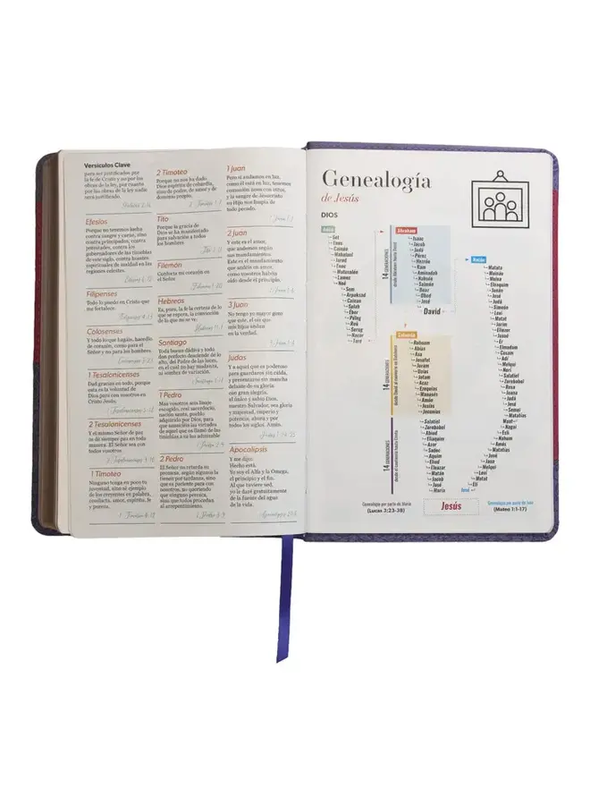 Biblia Reina Valera 1960 tamaño manual letra grande 12 puntos- Imitación Piel lila/morado.Colección bitono
