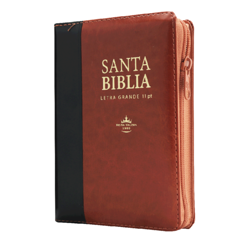 SOCIEDAD BIBLICA SANTA BIBLIA LETRA 11 PTS CIERRE INDICADORES NEGRO CAFE