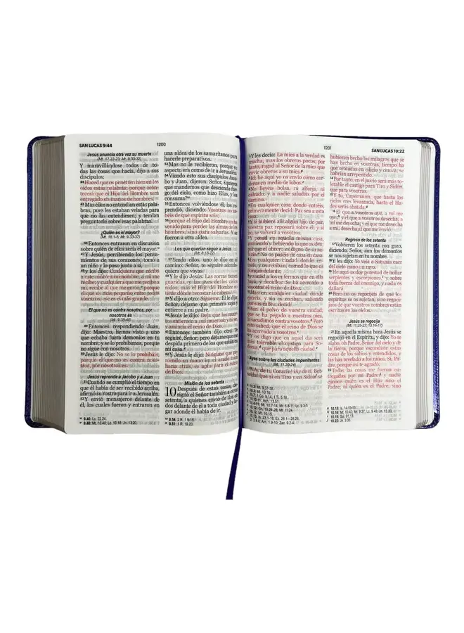 Biblia Reina Valera 1960 tamaño manual letra grande 12 puntos- Imitación Piel lila. Colección clásica
