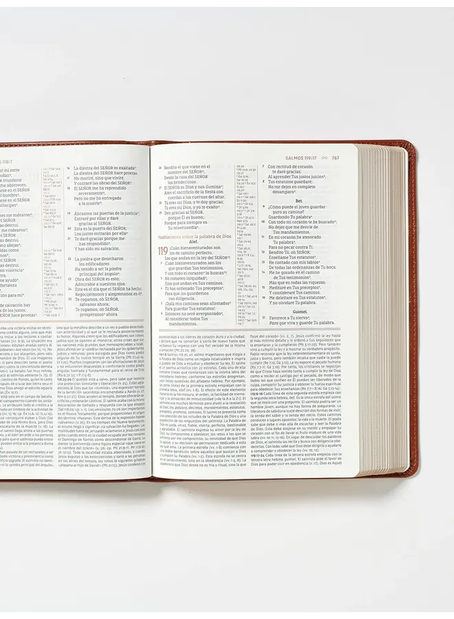 NBLA Biblia de Estudio Gracia y Verdad, Leathersoft, Café, con Indice, Interior a dos colores