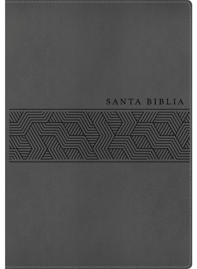 Santa Biblia NTV, Edición manual, letra gigante, Gris