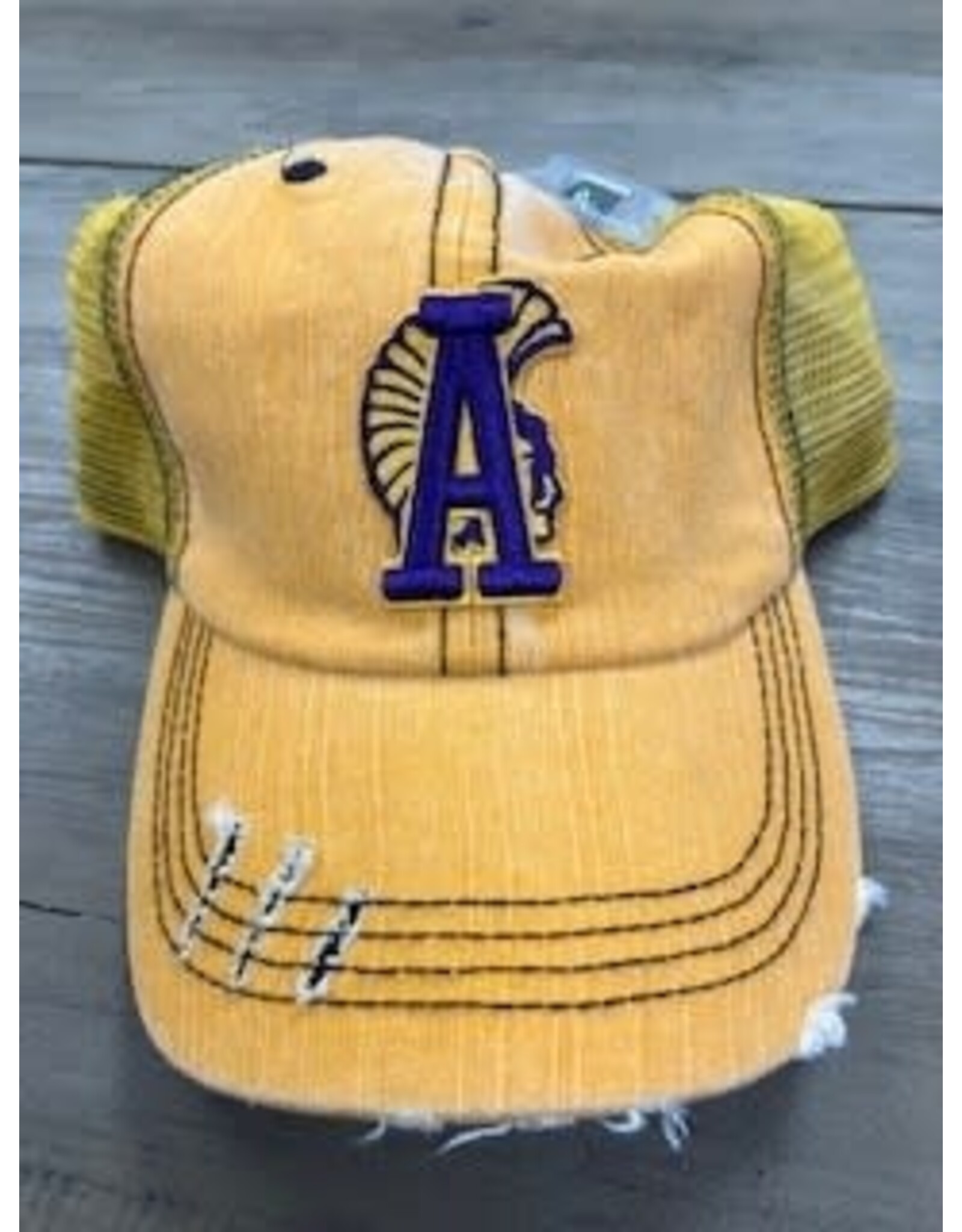 Vintage Trucker Hat ASH