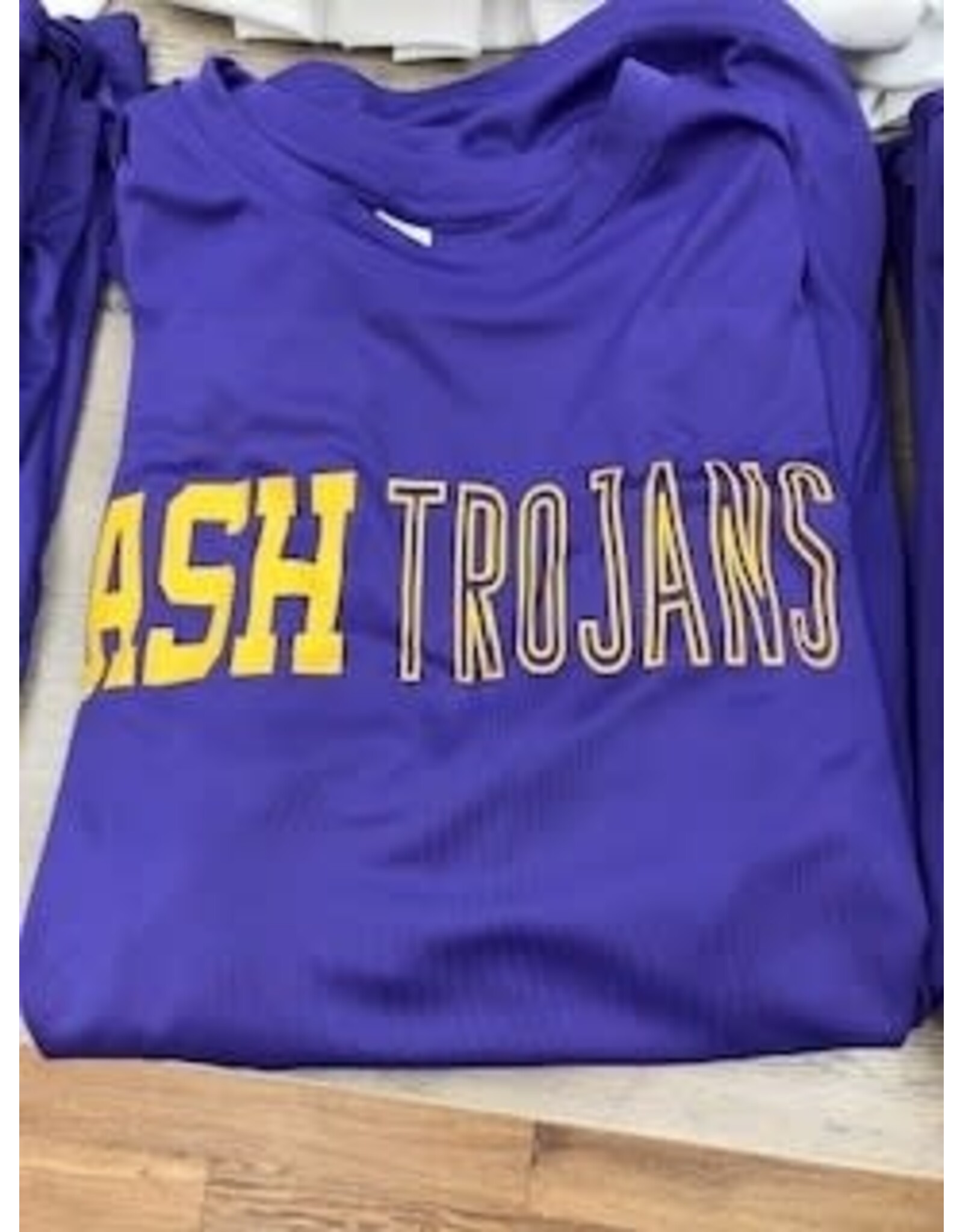 ASH TROJANS M/W TEE PURPLE