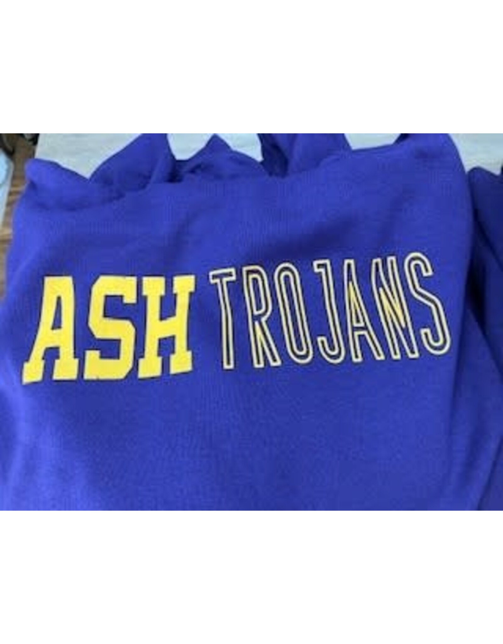 Jerzees Purple ASH Trojans hoodie