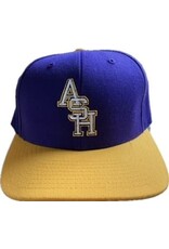 Purple & Gold ASH baseball cap