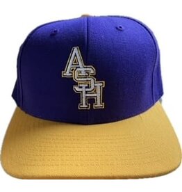 Purple & Gold ASH baseball cap