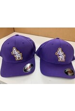 ASH Flexfit purple hat