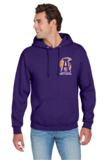 Nu Blend Jerzees ASH SOFTBALL Hoodie