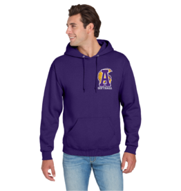 Nu Blend Jerzees ASH SOFTBALL Hoodie