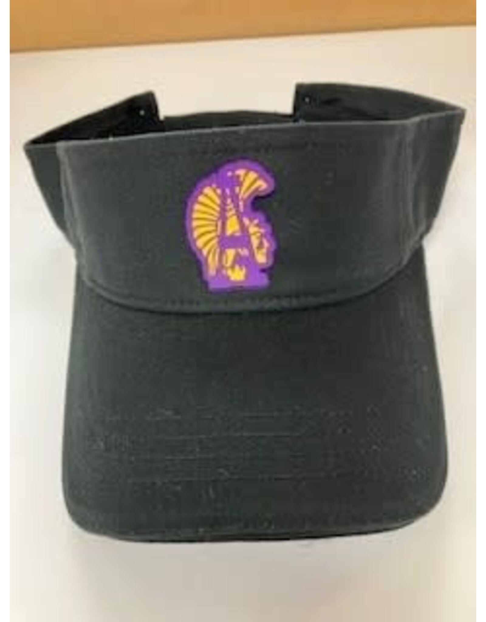 BLACK ASH VISOR WITH SILCON  ORDER- WILL TEXT WHEN READY