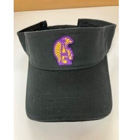 BLACK ASH VISOR WITH SILCON  ORDER- WILL TEXT WHEN READY