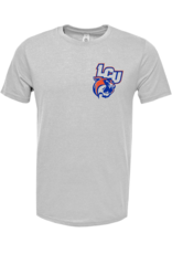 Wildcats Football on Grey