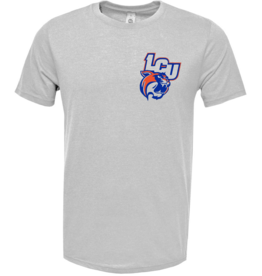 Wildcats Football on Grey