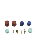 AC System Valve Core  & Cap Kit - valve & cap kit for Japanese AC systems R12 & R134a (JRA)